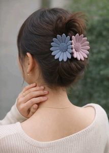 Set of 4 Chic Hair Clips