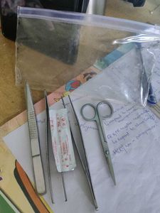 Dissection kit for anatomy first year