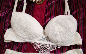 Lace embroidery Bra and Panty Set