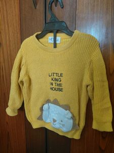 Cute Lion Print Sweater