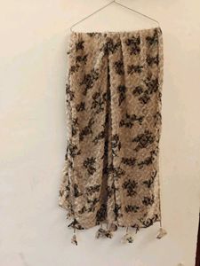 Beige Glittery Dupatta