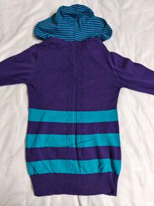 Purple &amp; Teal Striped Hoodie
