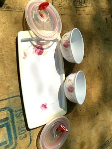 new Food Storage Containers with Lids&amp; tray