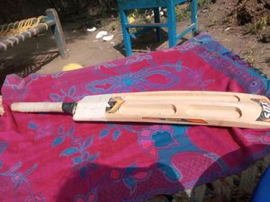 Cricket Bat