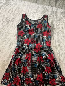 Floral Print Skater Dress