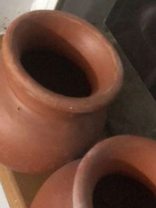 Terracotta Pots - Set of 2
