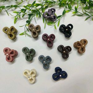 Hair accessories combo of 10 clips
