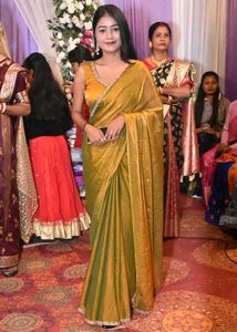 Solid Beads and Stones Saree