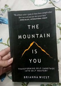 The Mountain Is You by Brianna Wiest