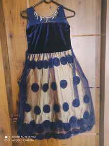 Navy Velvet &amp; Tulle Dress