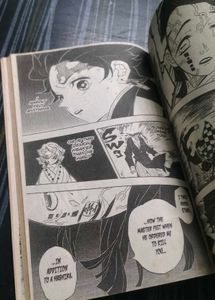 Demon Slayer Manga Vol 7