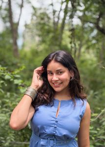 Chic Blue Sleeveless Midi Dress
