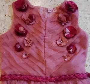 Birthday Onion Pink net and satin dress