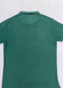 Netplay Olive Green Polo T-Shirt