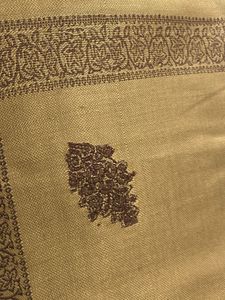 Elegant Golden Embroidered shawl