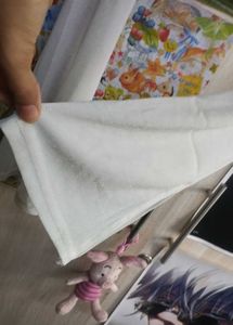 Sheer Cropped Long Sleeve Top