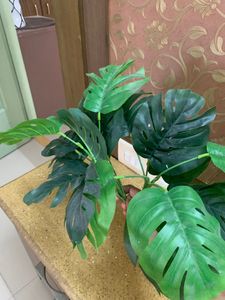 2 Pcs Artificial Monstera Plant