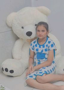 new taddy bear