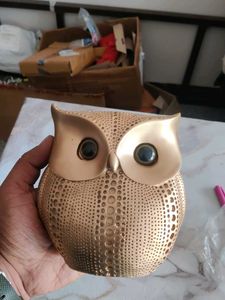 Beautiful Owl For Home Decor