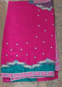 Net Sequins Border Embroidered Saree