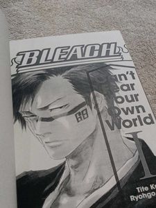 Bleach: Can't Fear Your Own World I