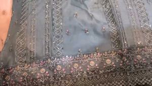 Organza Pakistani Suit Brand New