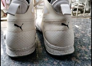 Puma BMW Motorsport Sneakers