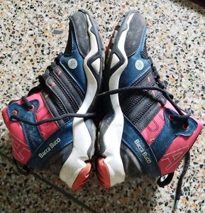 Bacca Bucci Shoes.