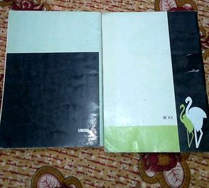 Class 12 English Helpbook (Vistas+Flamingo)
