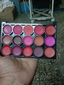 Small Lip Pallate