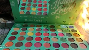 S.f.r Color 63 Pigment Eyeshadow Pallet