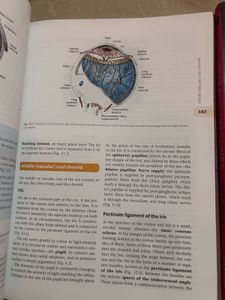 Cunningham's Anatomy Manual - Head, Neck &amp; Brain
