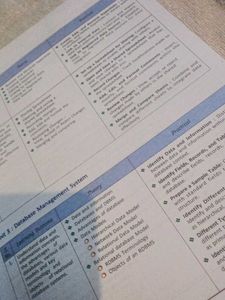 Information Technology Textbook Class X
