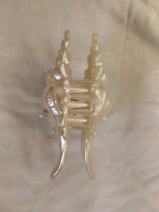 beach aesthetic pinterest sea shell claw clip huge