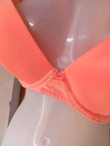 Coral Padded Underwire Bra