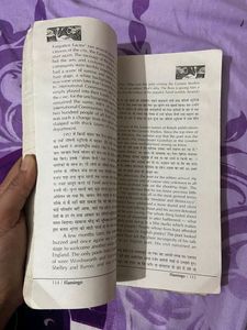 12th Class Flamingo English Book(helpbook)