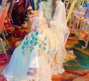 Elegant Embroidered Dress