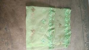 Beautiful Light Green Lehenga Choli Set