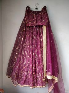 Organza Lehenga Choli