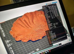 3D Printed Betta Fish Decor