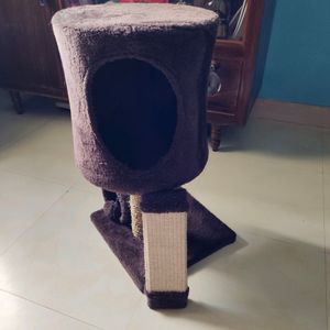 cat house & cat food combo