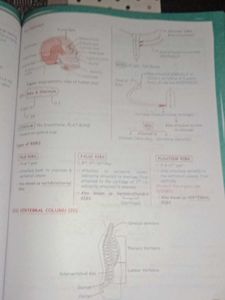 Zoology Med Easy 2.0 Book