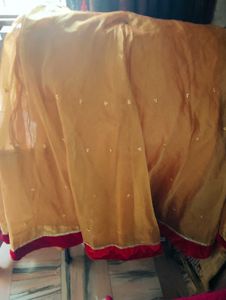 Golden Skirt with Red Border