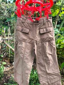 brown cargo