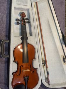 Professional Violin Case