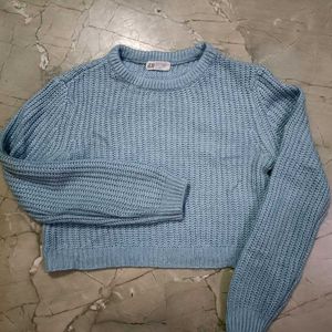 Branded Crop Crusia Sweater