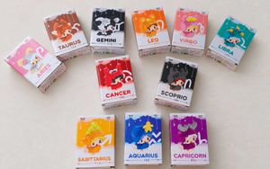 ♈✨ Zodiac Cuties Building Block Set