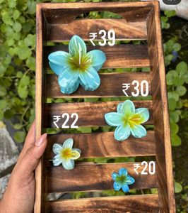 Acrylic Hair Clips, Strong Grip for Thick or