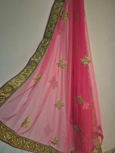Pink Embellished lehanga