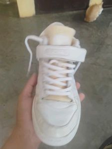 Adidas High Top Sneakers